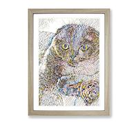 Scottish Fold Cat Modern Bg Framed Print | A4 Oak Framed Wall Art | Ready to Hang | Modern Animal Picture | Living Room Bedroom Lounge Office