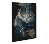 Scottish Fold Cat Modern Cb Canvas Print | Gallery Wrapped 30mm Frame Wall Art | 30x20 inches | Ready to Hang | Modern Animals Picture | Living Room Bedroom Lounge Office