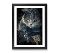 Scottish Fold Cat Modern Cb Framed Print | A4 Black Framed Wall Art | Ready to Hang | Modern Animal Picture | Living Room Bedroom Lounge Office