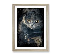 Scottish Fold Cat Modern Cb Framed Print | A4 Oak Framed Wall Art | Ready to Hang | Modern Animal Picture | Living Room Bedroom Lounge Office