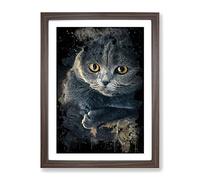 Scottish Fold Cat Modern Cb Framed Print | A4 Walnut Framed Wall Art | Ready to Hang | Modern Animal Picture | Living Room Bedroom Lounge Office