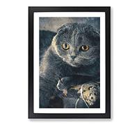 Scottish Fold Cat Painting Framed Print | A2 Black Framed Wall Art | Ready to Hang | Modern Animal Picture | Living Room Bedroom Lounge Office