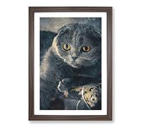 Scottish Fold Cat Painting Framed Print | A2 Walnut Framed Wall Art | Ready to Hang | Modern Animal Picture | Living Room Bedroom Lounge Office