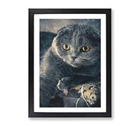 Scottish Fold Cat Painting Modern Framed Print | A4 Black Framed Wall Art | Ready to Hang | Modern Animal Picture | Living Room Bedroom Lounge Office