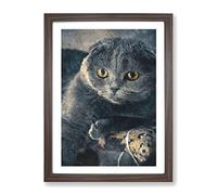 Scottish Fold Cat Painting Modern Framed Print | A4 Walnut Framed Wall Art | Ready to Hang | Modern Animal Picture | Living Room Bedroom Lounge Office