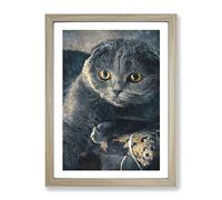Scottish Fold Cat Painting Modern Framed Wall Art Print, Ready to Hang Picture for Living Room Bedroom Home Office Décor, Oak A3 (34 x 46 cm)