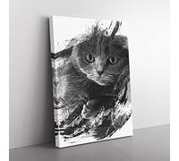 Scottish Fold Cat V1 Modern Canvas Wall Art Print Ready to Hang, Framed Picture for Living Room Bedroom Home Office Décor, 50x35 cm (20x14 Inch)