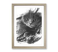 Scottish Fold Cat V1 Modern Framed Print | A3 Oak Framed Wall Art | Ready to Hang | Modern Animal Picture | Living Room Bedroom Lounge Office