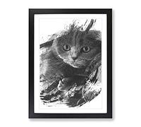 Scottish Fold Cat V1 Modern Framed Print | A4 Black Framed Wall Art | Ready to Hang | Modern Animal Picture | Living Room Bedroom Lounge Office