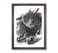 Scottish Fold Cat V1 Modern Framed Print | A4 Walnut Framed Wall Art | Ready to Hang | Modern Animal Picture | Living Room Bedroom Lounge Office