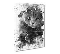 Scottish Fold Cat V4 Canvas Print | Gallery Wrapped 30mm Frame Wall Art | 24x16 inches | Ready to Hang | Modern Animals Picture | Living Room Bedroom Lounge Office