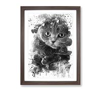 Scottish Fold Cat V4 Modern Framed Print | A4 Walnut Framed Wall Art | Ready to Hang | Modern Animal Picture | Living Room Bedroom Lounge Office