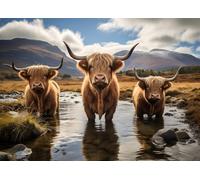 Scottish Highland Cattle Jigsaw Puzzle 1000 Pieces for Adults Animal Landscape Puzzle Three Shaggy Cows Mountain Scenery Countryside Farm Scene Relaxing Challenging Activity 27.5x19.7 Inch