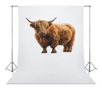 Scottish Highland Cow Abstract Photography Backdrop Washable Photo Studio Backdrops Background for Party Video Shooting