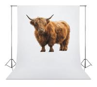 Scottish Highland Cow Abstract Photography Backdrop Washable Photo Studio Backdrops Background for Party Video Shooting