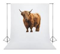 Scottish Highland Cow Abstract Photography Backdrop Washable Photo Studio Backdrops Background for Party Video Shooting