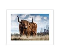 Scottish Highland Cow/Coo Canvas Wall Art Print