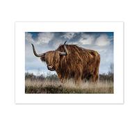 Scottish Highland Cow Coo Canvas Wall Art Print