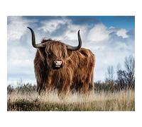 Scottish Highland Cow/Coo Large Canvas Wall Art Print