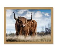 Scottish Highland Cow Hairy Coo Photo Artwork Framed Wall Art Print A4 Artery8 Light Oak One Size