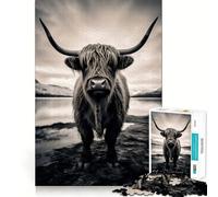 Scottish Highland Cows 1000 Piece Jigsaw Puzzles for Adults Smart Reason Toy Quiet Fun Smooth Edge Festival Gift (38x52cm)