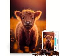 Scottish Highland Cows 1000 Piece Jigsaws for Adults Puzzle Strengthen Memory Warm Time Clean Edge (38x26cm)
