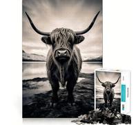 Scottish Highland Cows 1000 Pieces Jigsaw Puzzles for Teenagers Logic Sense Toy Simple Fun Smooth Edge Stylish Gift (50x75cm)