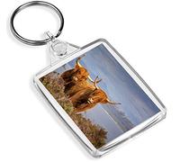 Scottish Highland Cows Keyring - IP02 - Scotland Agricultural Cattle #16313
