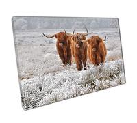 Scottish Highland Cows Natural Winter Nature Habitat Wall Art Print On Canvas Picture For Home Office Decor 61x41cm (24x16In)