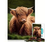 Scottish Highland Cows Puzzle for Teenagers 1000 Pieces Mind Exercise Toy Gentle Relax Design Assembly Xmas Surprise (38x26cm)