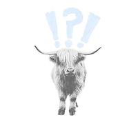 Scottish Highland Hairy Coo Cow Surprised Expression Scotland Art Print Poster Wall Decor 12X16 Inch