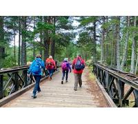 Scottish Highlands Walking Small Group Tour from Edinburgh