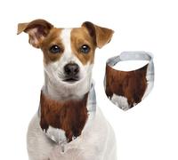 Scottish Highlands Winter Landscape,Dog Bandanas Cotton Pet Scarf Adjustable Bibs for Pet,S