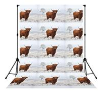 Scottish Highlands Winter Landscape, Photography Backdrop Photo Props 5x7FT Photo Background for Party Home Decoration