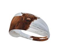 Scottish Highlands Winter Landscape,Sports Sweatband for Unisex Multi Headband Elastic Exercise Hairband