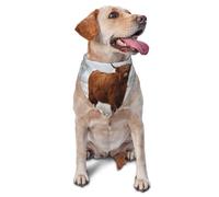 Scottish Highlands Winter LandscapeDog Bandanas Cat Puppy Scarfs Washable Pet Handkerchief