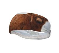 Scottish Highlands Winter LandscapeHair Bands for Men Woman Headband Running Headband Sweat Wicking Gym