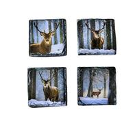 Scottish Stag Stone Slate Coaster Set. Highland Stag Images In a Winter Scene Printed on Natural Slate.