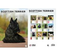 Scottish Terrier 2026 Calendar - A3 Size 30 x 42 cm, 12 Months of Great Photography