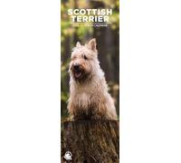 Scottish Terrier 2026 Wall Calendar, 12-Month Slim Format, Made in England