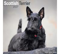 Scottish Terrier 2027 Calendar | Square Wall Calendar | Dog Breed Gift | Plastic Free Packaging | by Avonside Publishing