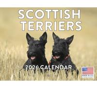 Scottish Terrier Calendar 2026 Scottie