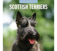 Scottish Terriers - 2026 Square Wall Calendar - by Red Robin Publishing