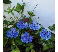 Scottish Thistles 5 Garden Stakes Sun Catcher Garden Decor Glowing Ornaments 25cm, 10 inch high, 6cm, 2.8 inch width Outdoor Gardeners Gift (fluorescent Blue)