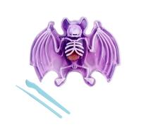 Scout Dissect-It Fledermaus