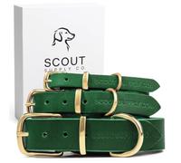 Scout Supply Classic Leather Dog Collar | Heavy Duty Thick Full Grain Leather | Waterproof & Rust-Proof Brass Hardware (Green, XX Large)