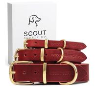 Scout Supply Classic Leather Dog Collar | Heavy Duty Thick Full Grain Leather | Waterproof & Rust-Proof Brass Hardware (Red, X Large)