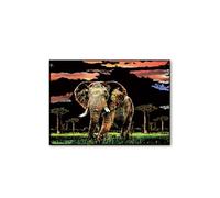 Scratch Pictures Adults Magic Rainbow Scratch Paper Art Cardboard Animal Series Scratchboard for Children Scratch Pictures DIY Craft Sets Black Scratch Art Paper Scratch Paper DIY Crafts Decoration,