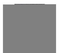 Scratching Mat for Cats, Scratching Mat for Cats, Cut to Size Scratching Mat for Flat Scratching Pad, Cat Scratching Pad as Replacement for Scratching Posts, Scratching Post Shelves