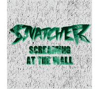 Screaming At The Wall